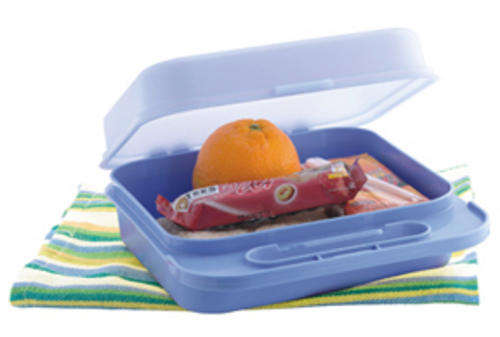 Good companion lunchbox - Tupperware